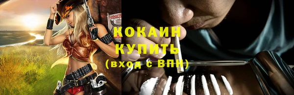 соль ск Михайловск