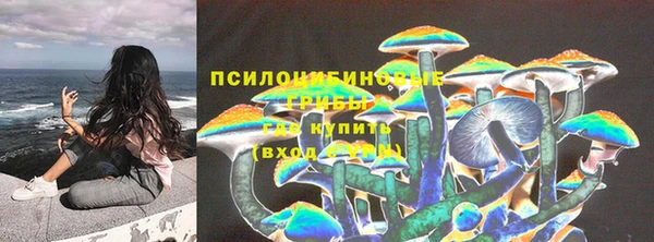 гашиш Михайлов