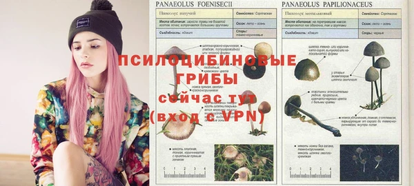 гашиш Михайлов